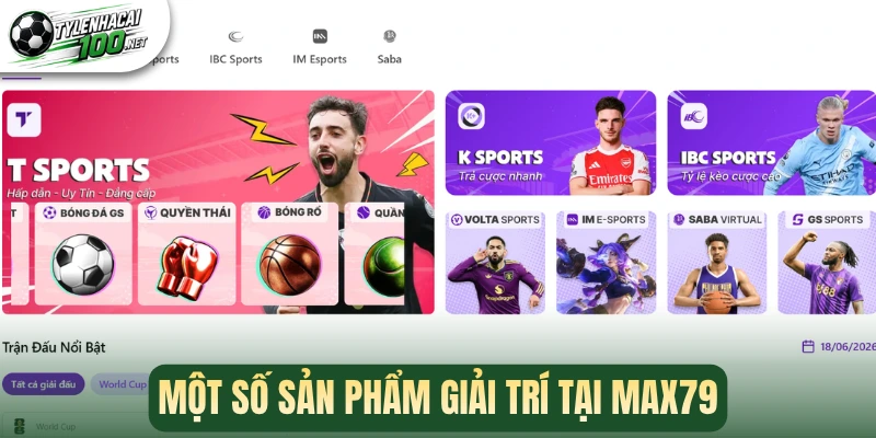 Một số sản phẩm giải trí tại Max79
