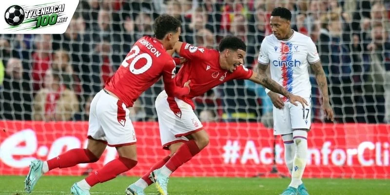 Soi Kèo Bóng Đá Crystal Palace Vs Nottingham - NHA, 11/10 /2026 6 chot keo thom cho cuoc tranh tai ngay 11 10 1